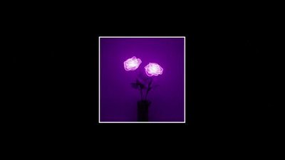𝙵𝚆𝙼